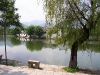 South Lake, Hongcun ancient village, Anhui province