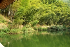 Huangshan Bamboo Forest