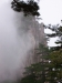 Swirling mist, Huangshan (Yellow Mountain), Anhui province