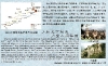 Souvenir entry ticket (reverse), Shaolin Temple, Songshan, Henan province