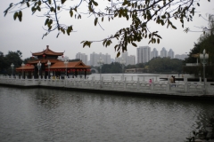 Lychee Park