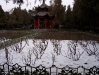 Remnant snow, White Horse Temple, Luoyang Henan