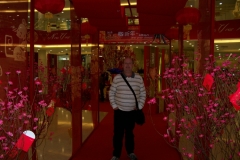 Shenzhen 2008 Lunar New Year