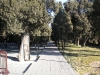 Ancient Cypress Woods, Temple of Heaven, Beijing